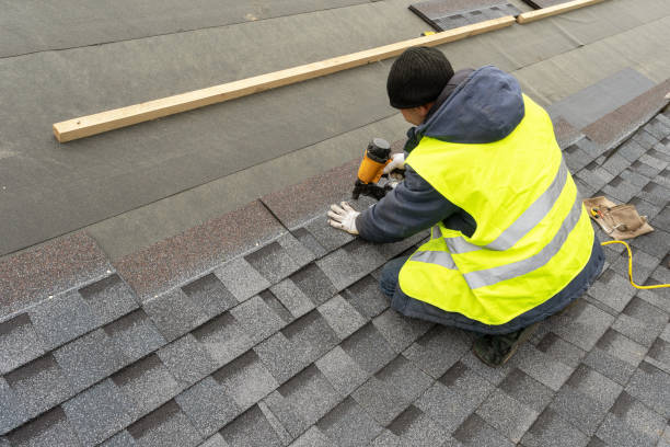 Best Best Roofing Contractors  in Mked Tree, AR