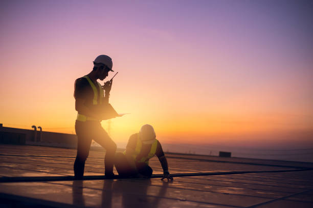 Best Local Roofing Companies  in Mked Tree, AR