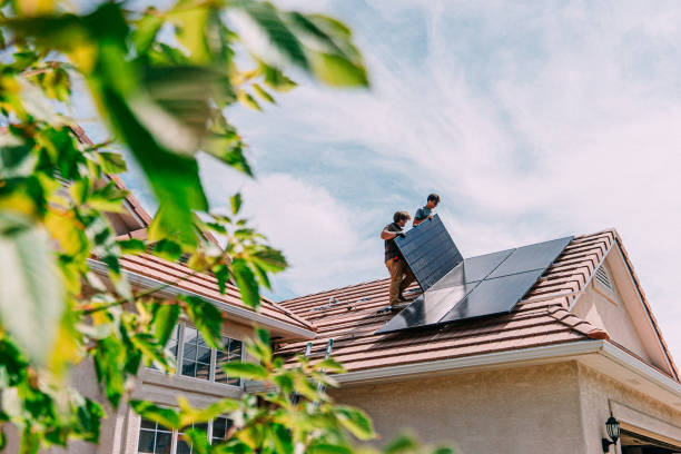 Best Roof Repair Services  in Mked Tree, AR