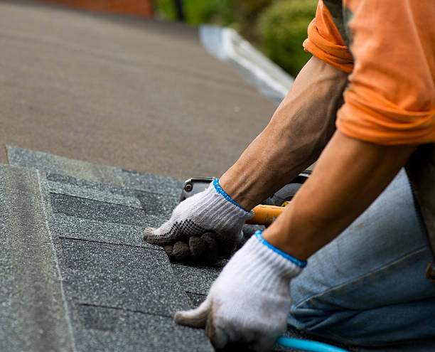 Best Roof Restoration Services  in Mked Tree, AR