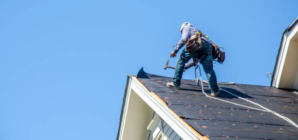 Best Local Roofing Companies  in Mked Tree, AR